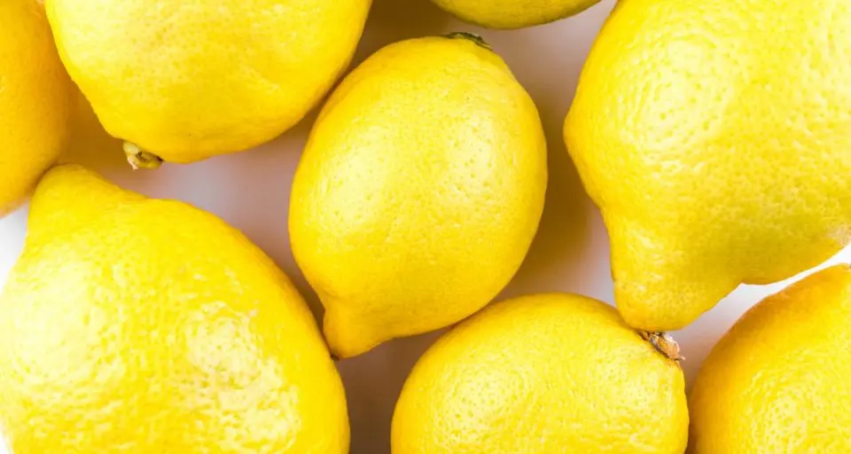Several lemons are laying side by side on a white table.