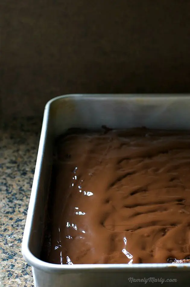 Vegan Brownies covered with Melted Chocolate Coconut Sauce