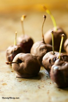 Chocolate-covered cherries sit on a cookie sheet. There are stems from the cherries too.