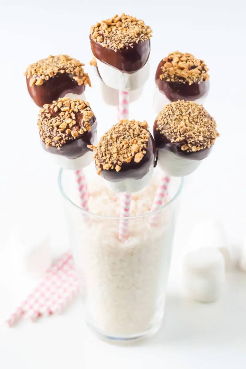 Several Vegan Marshmallow Pops on pink paper straws in a glass filled with uncooked brown rice to hold them up.