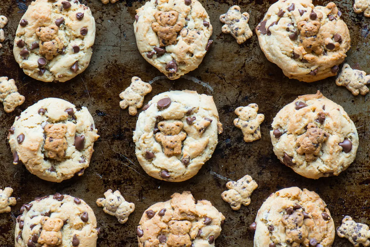 Looking down on teddy graham chocolate chip cookies on a baking sheet.