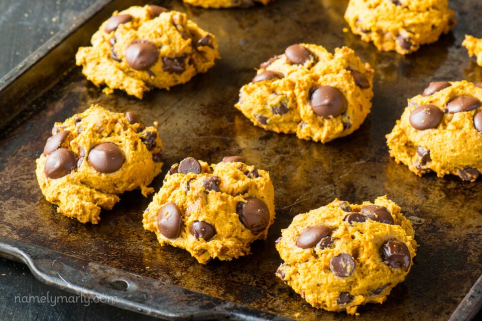 Pumpkin chocolate chip cookies are on a baking sheet.