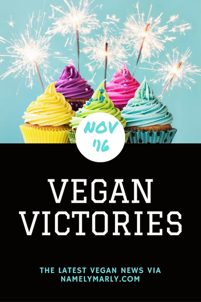 Vegan Victories November 2016 is a post from Namely Marly about the latest and greatest news from the vegan world. Learn about vegan products, vegan fashion, health, and more!