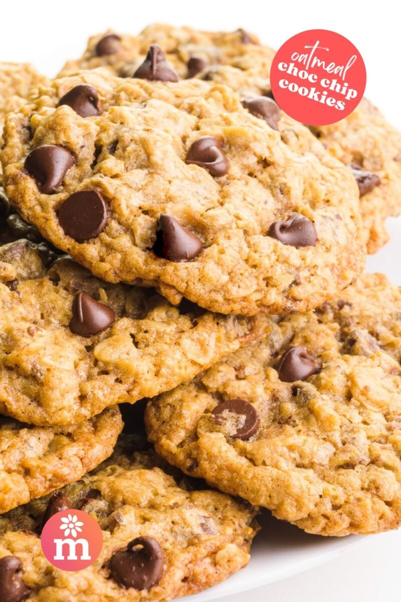 Oatmeal chocolate chip cookies stacked on a white plate, showcasing their golden-brown color and chocolate chunks.