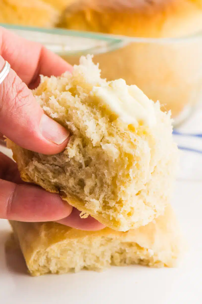 Soft, tender, buttery, these easy vegan dinner rolls are a perfect and easy recipe to add something extra to your next family dinner.
