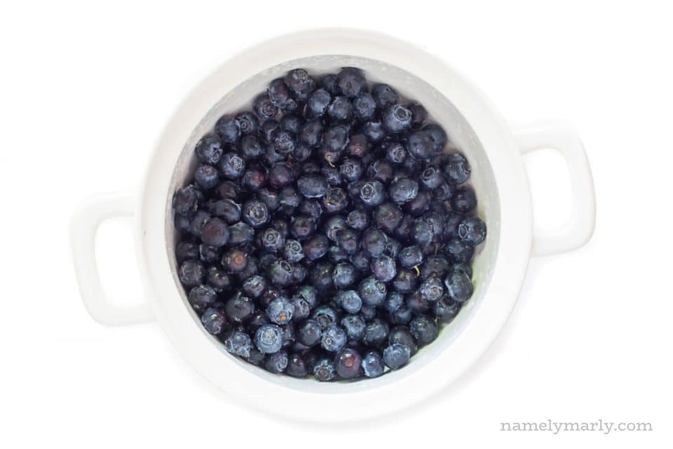 Fresh blueberries sit in the bottom of a pot ready to be placed on the stove.