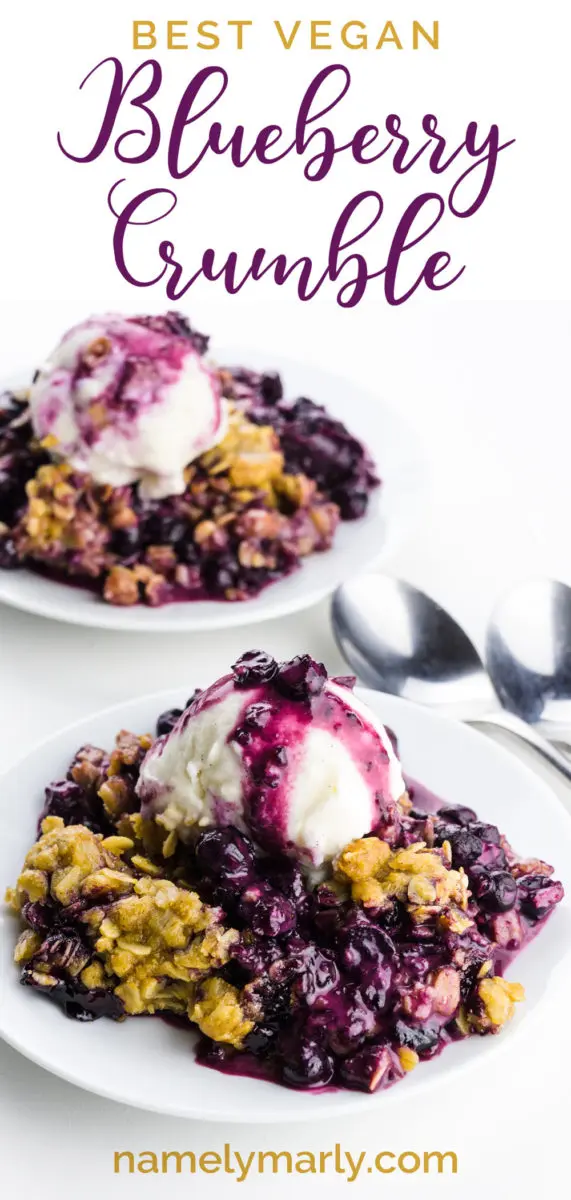 A photo shows two blueberry desserts topped with ice cream and blueberry sauce. The text reads: Best Vegan Blueberry Crumble.