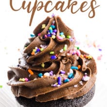 A vegan chocolate cupcake has sprinkles on it. the text above it indicates this is a vegan chocolate cupcake.