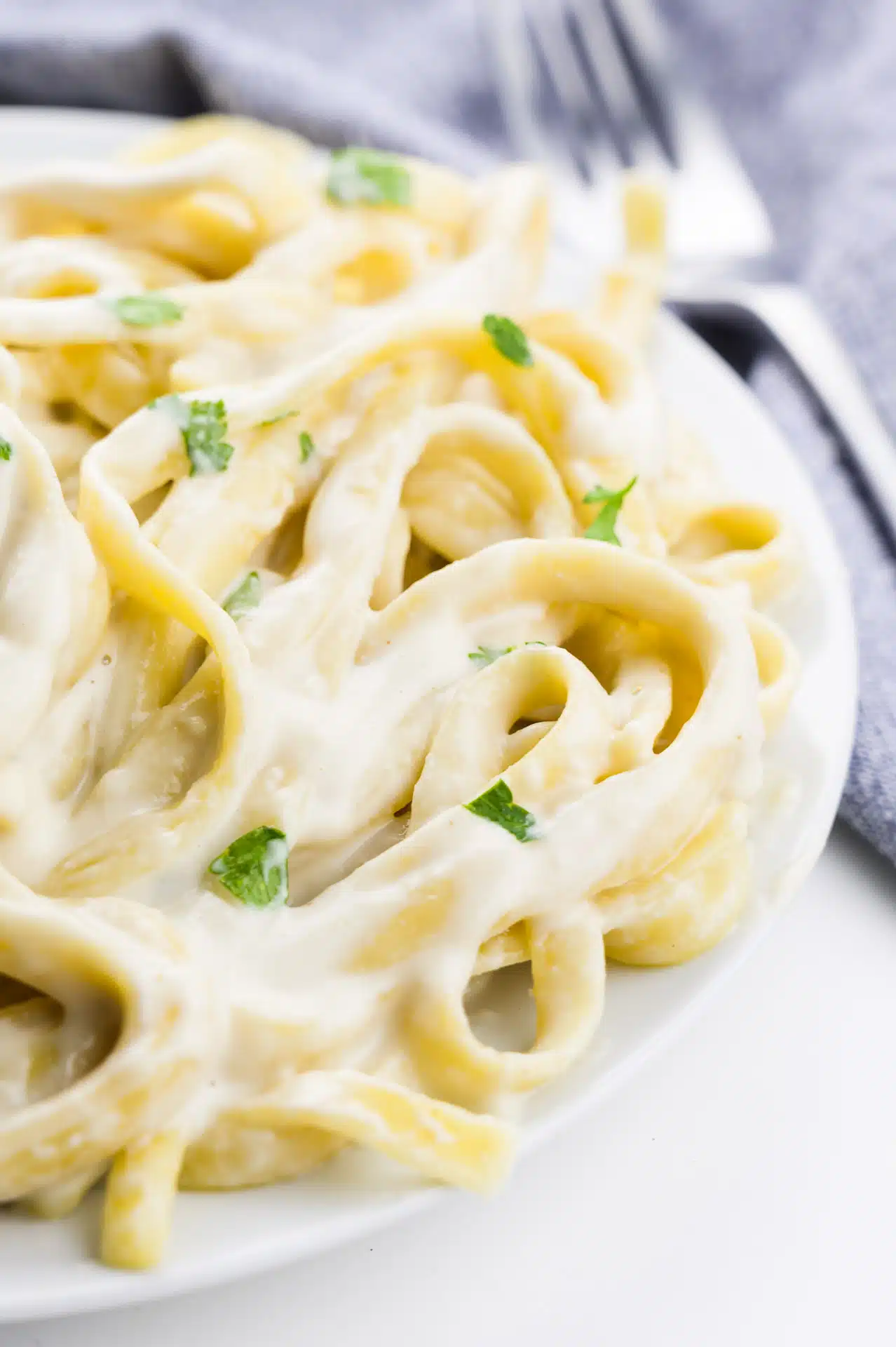 A closeup of a bowl of noodles doused with alfredo sauce.