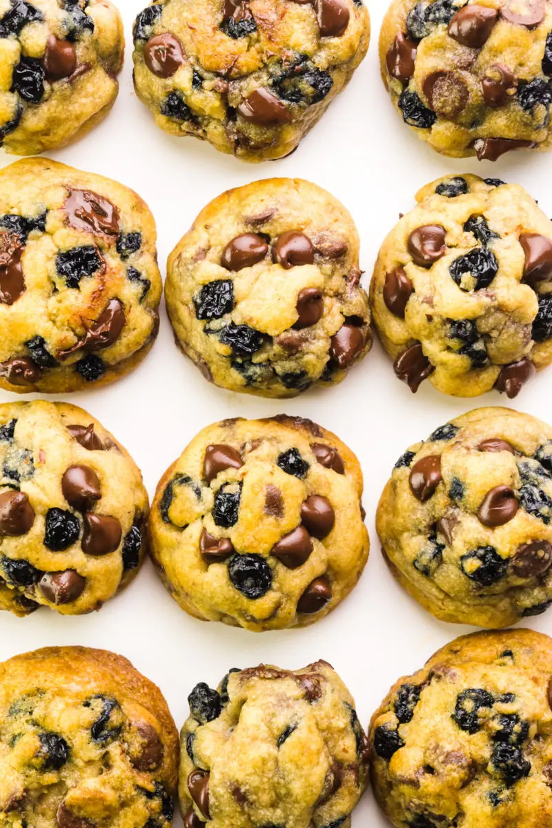 Looking down on a sheet with rows of blueberry chocolate chip cookies, freshly baked.