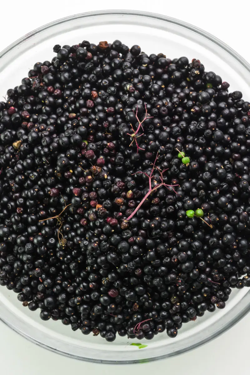 Looking down on a large bowl full of raw elderberries, including bits of stems and some green berries.