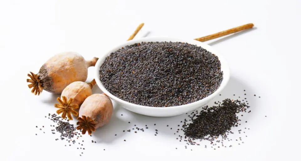 A bowl is full of poppy seeds and some have spilled over onto the table beside it. There are three dried stems from which poppy seeds come from.