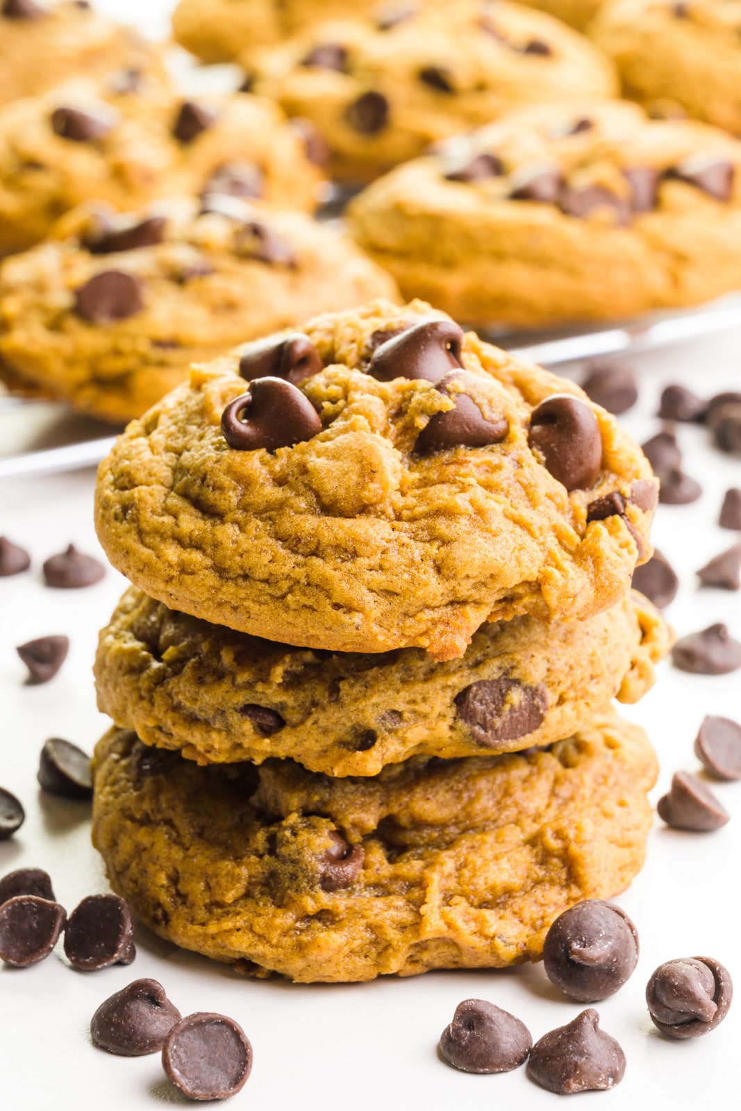 A stack of molasses chocolate chip cookies has chocolate chips around it and more cookies in the background.