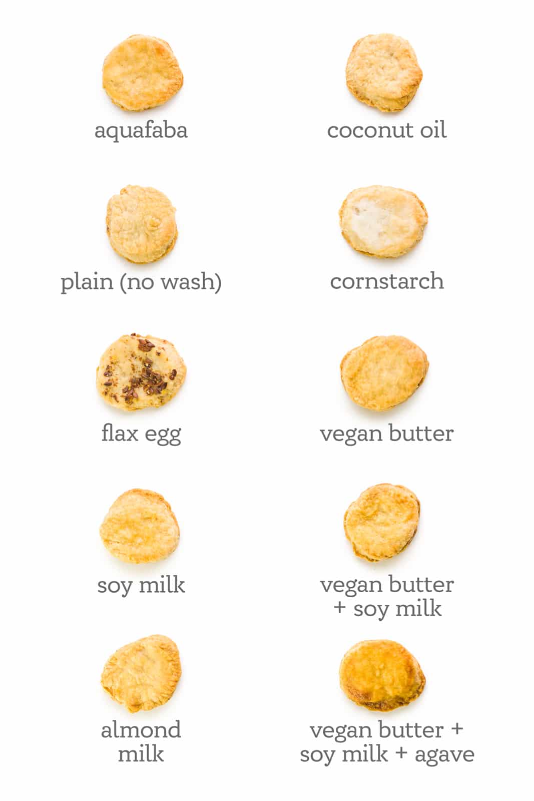 Several pie crust rounds are on a white counter. Under each one is a label indicating the type of vegan egg wash used. These include, "aguafaba, coconut oil, plain, cornstarch, flax seed, vegan butter, soy milk, vegan butter + soy milk, almond milk, and vegan butter + soy milk + agave."