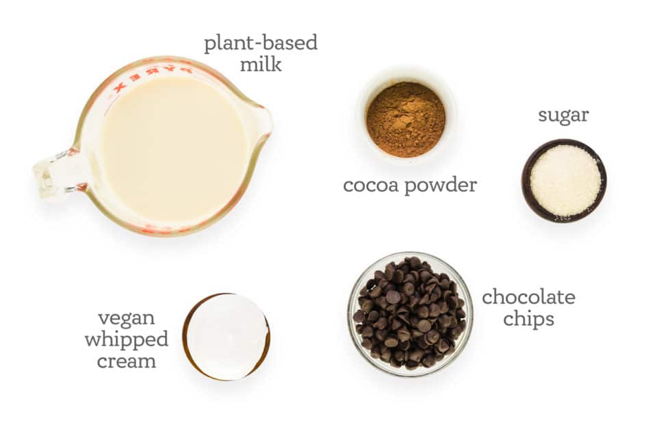 Ingredients for making hot cocoa sit on a counter. The labels read, "plant-based milk, cocoa powder, sugar, chocolate chips, and vegan whipped cream."