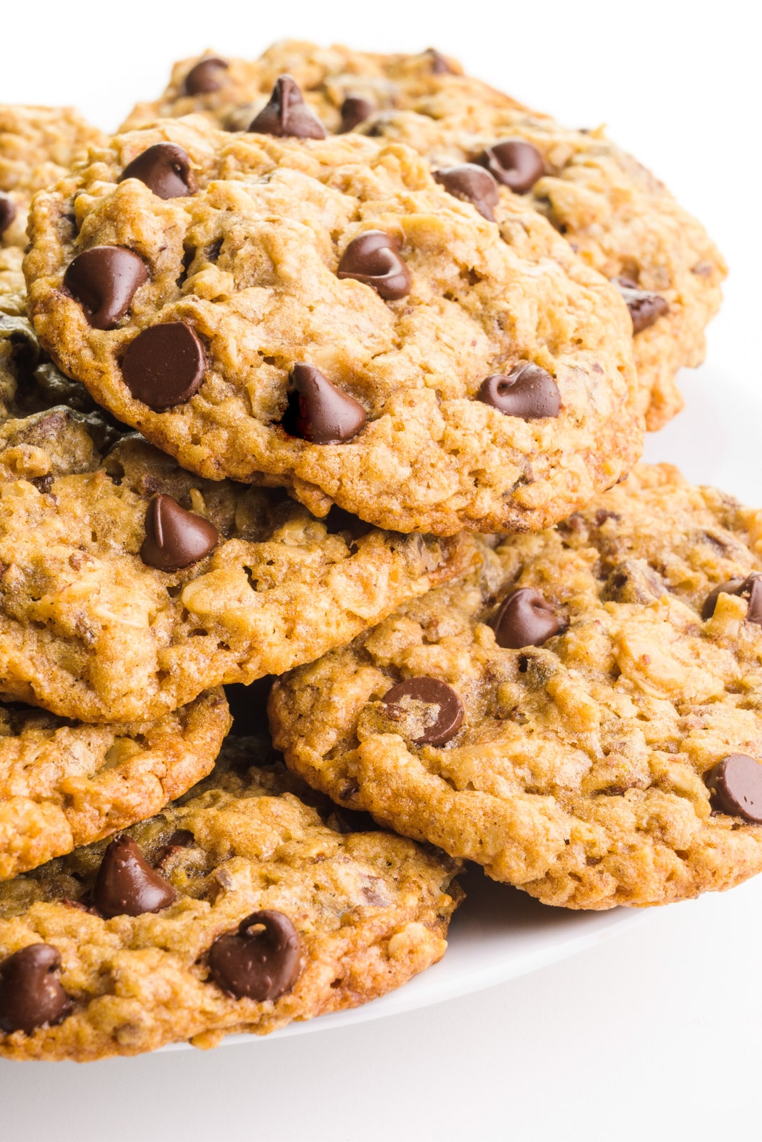 Several oatmeal chocolate chip cookies sit o a plate, showing melty chocolate chips on top.