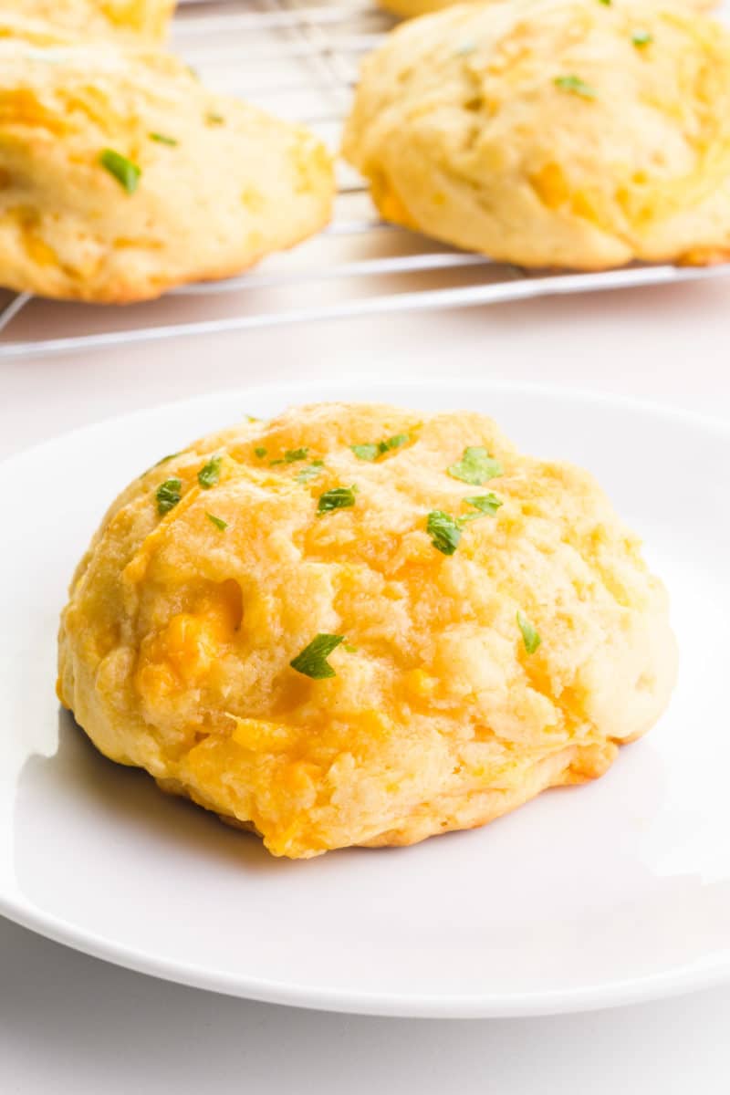 A vegan cheddar biscuit sits on a plate with more biscuits on a wire rack behind it.