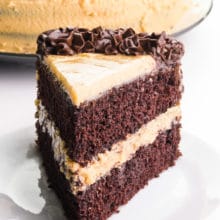 A slice of vegan chocolate peanut butter cake sits on a plate in front of a plate with the rest of the cake.