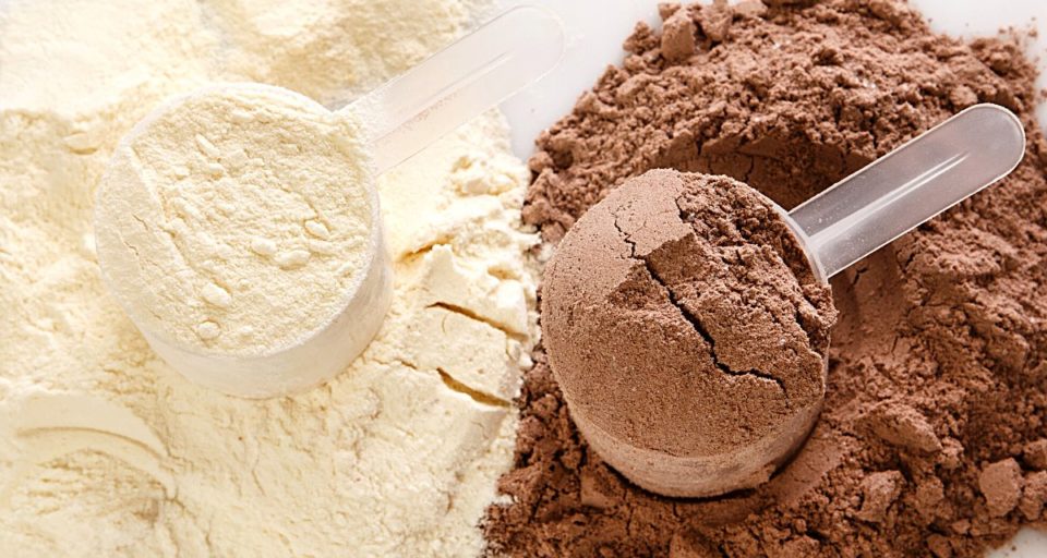A scoop of chocolate protein powder sits on top of a mound of more chocolate protein powder. It sits next to a mound of vanilla protein powder with a scoop full of it on top.