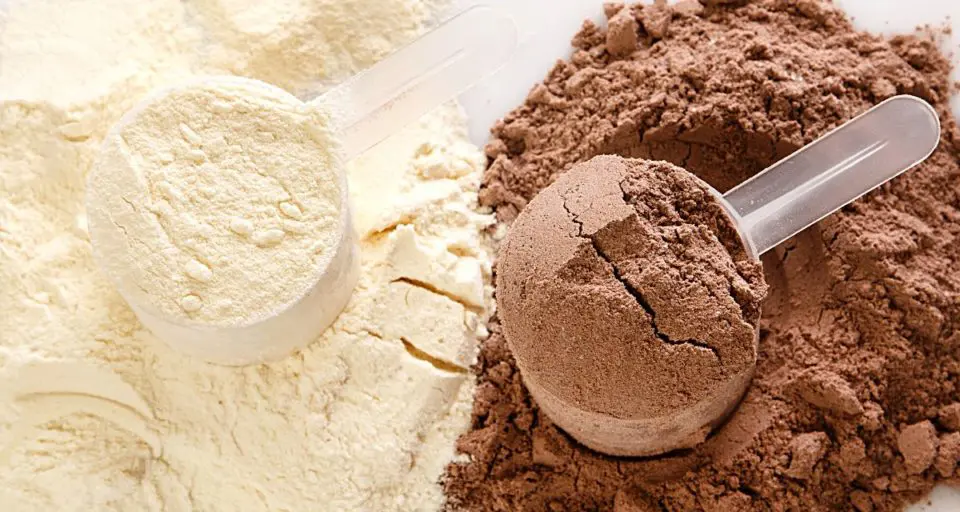 A scoop of chocolate protein powder sits on top of a mound of more chocolate protein powder. It sits next to a mound of vanilla protein powder with a scoop full of it on top.