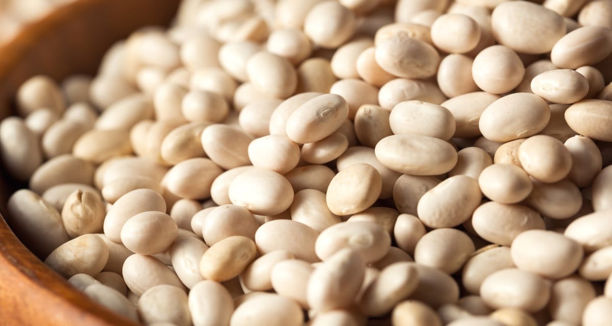 A closeup image of navy beans in a wooden bowl.