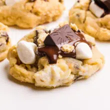 A vegan s'mores cookie sits next to other cookies.