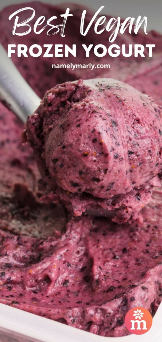 Blueberry frozen yogurt is being scooped with an ice cream scoop. The text reads Best Vegan Frozen Yogurt.