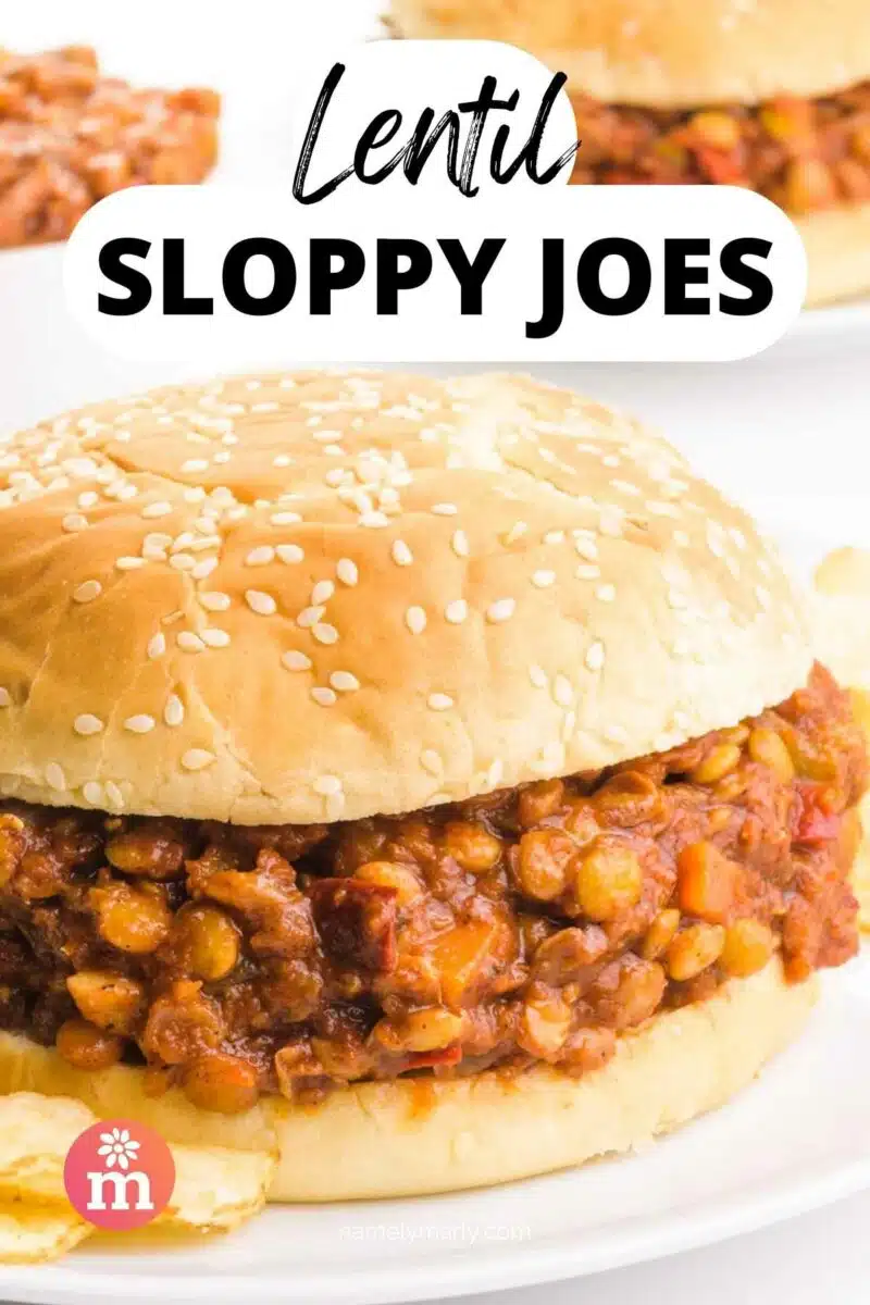 A saucy sloppy Joe filling is on a bun. The text reads, Lentil Sloppy Joes.