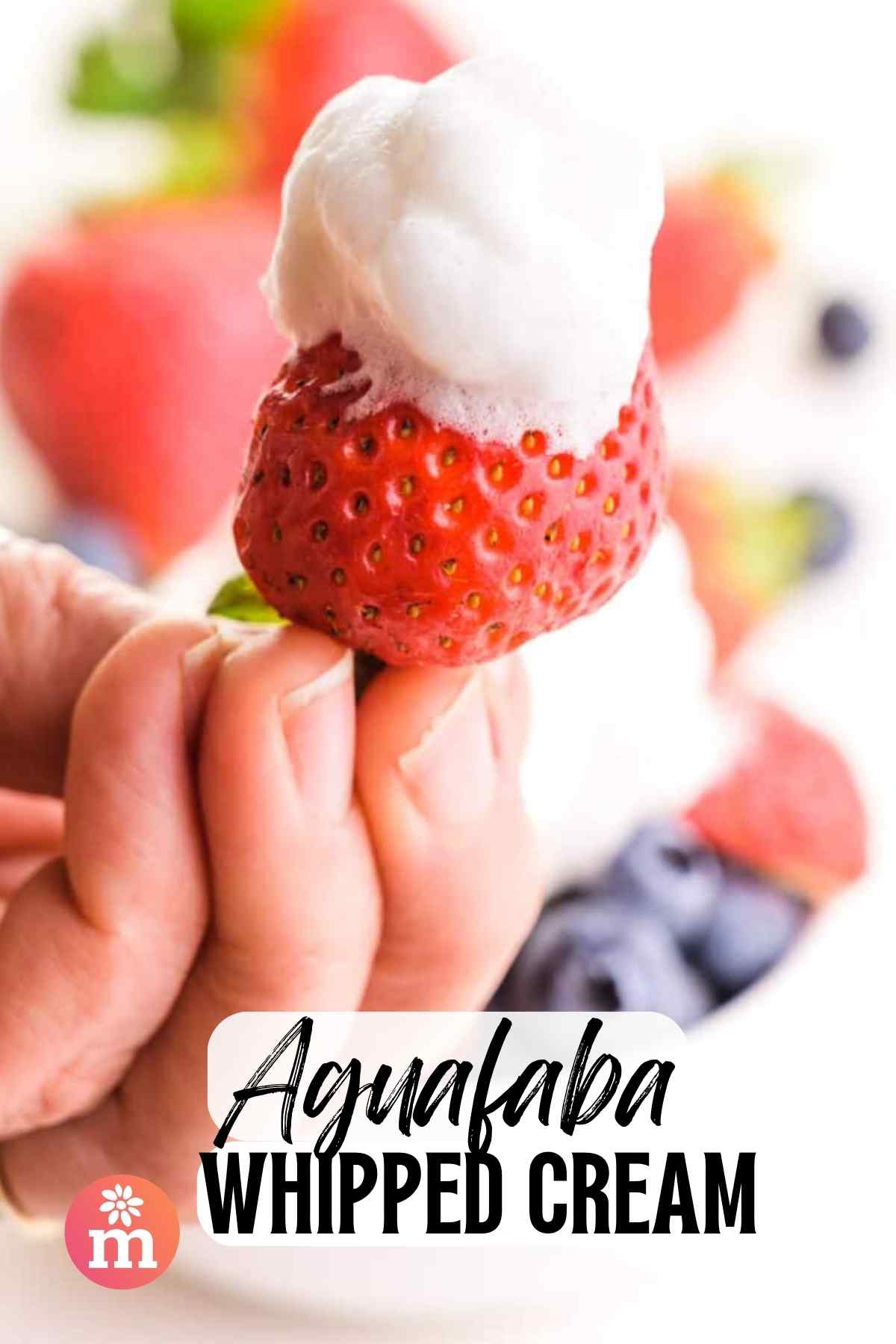 Aquafaba Whipped Cream Namely Marly