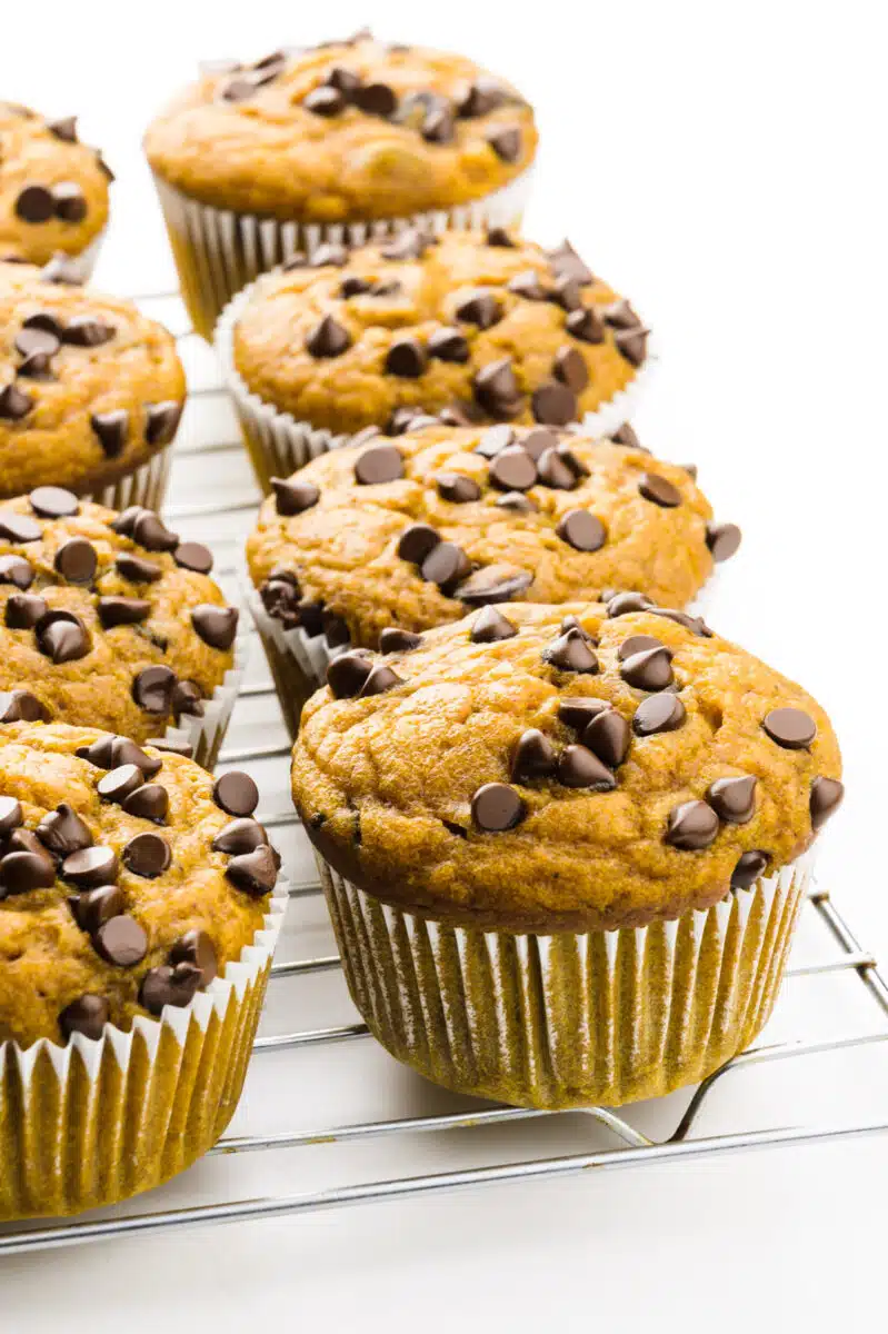Pumpkin chocolate chip muffins are cooling on a wire rack.