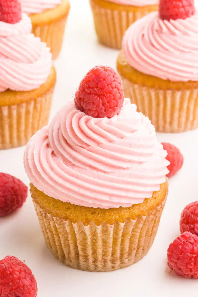 Several cupcakes have pink frosting on top and a fresh raspberry. There are fresh raspberries scattered around the cupcakes.
