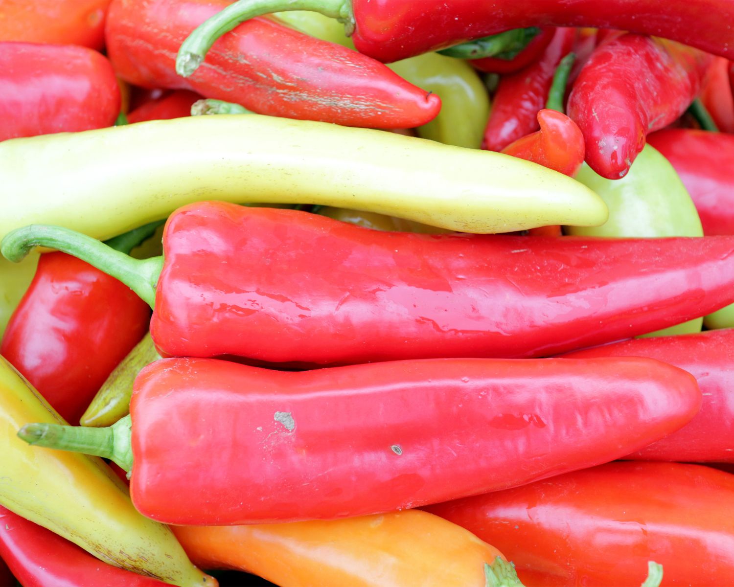 Looking down on red, yellow, and green banana peppers.