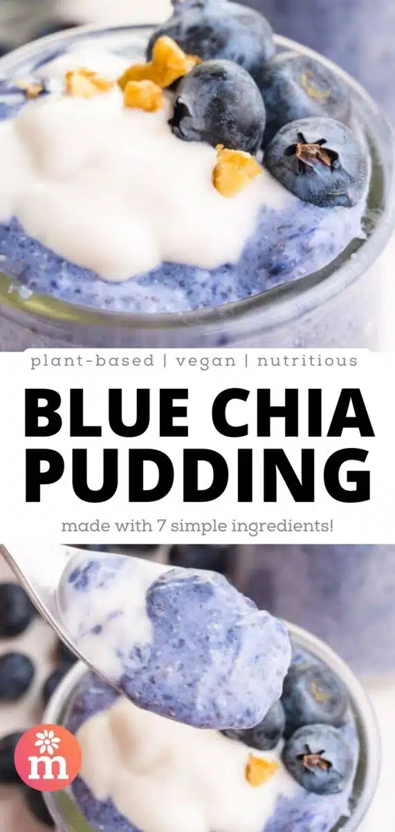 The top image shows blue pudding in a bowl with blueberries and yogurt on top. The bottom image shows a spoon of the pudding hovering over the bowl. The text reads, plant-based, vegan, nutritious, Blue Chia Pudding, made with 7 simple ingredients!