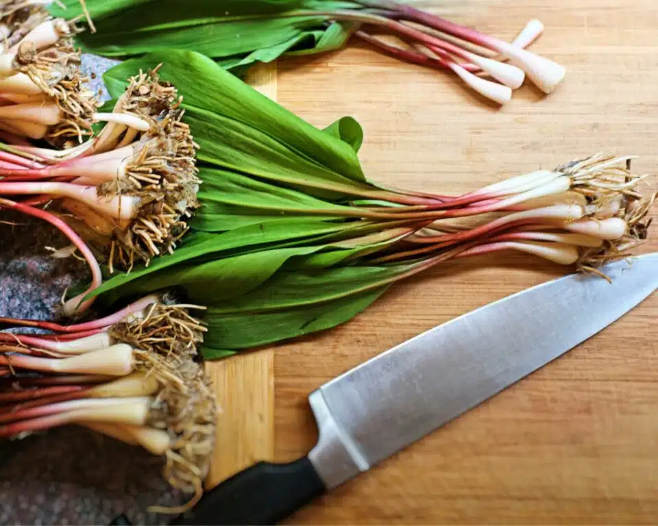 Looking at several fresh ramps on a cutting board next to a knife.