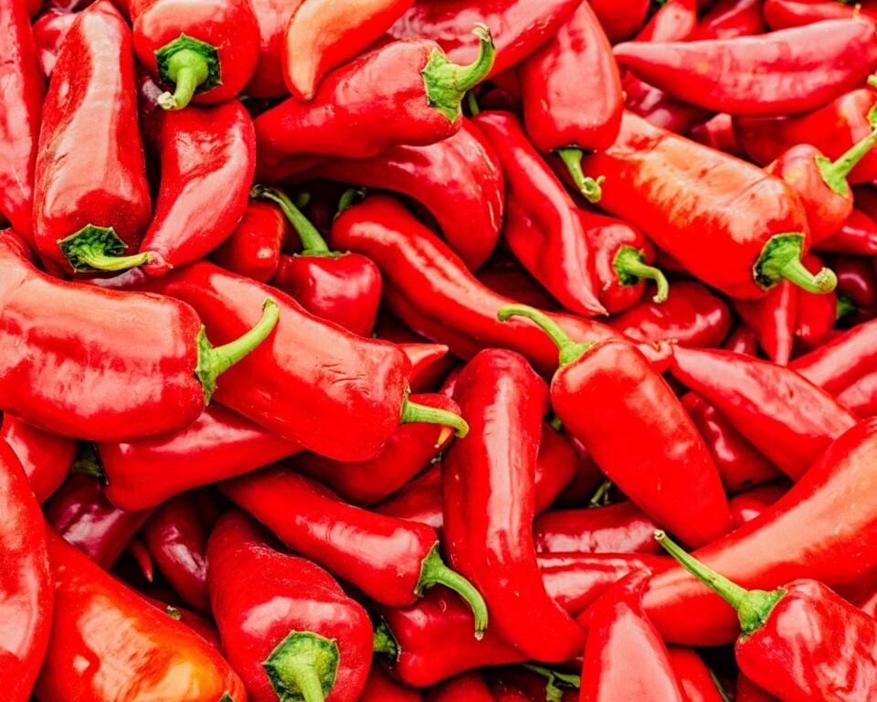 Looking down on a bunch of red chili peppers.