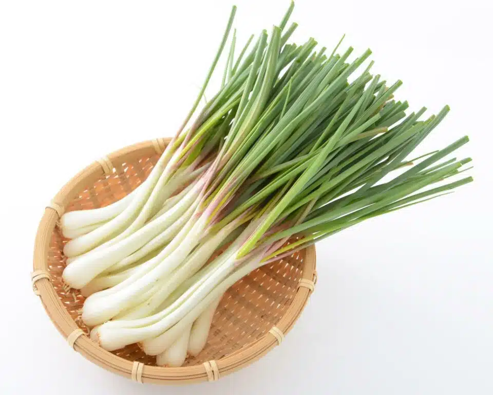 A wicker bowl holds a bunch of spring onions.
