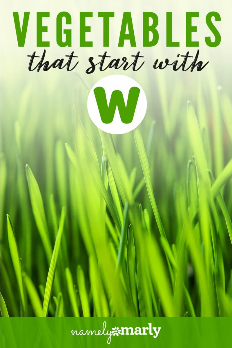 Three wild garlic flowers are showcased. Above it reads, Vegetables that start with "W". From watercress to wild garlic to wasabi.