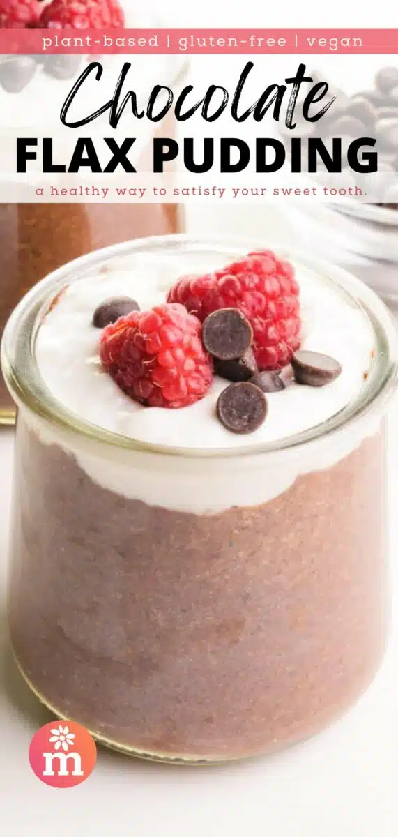 A glass jar holds chocolate pudding with yogurt, raspberries, and chocolate chips on top. The text reads, plant-based, gluten-free, vegan, Chocolate Flax Pudding. A healthy way to satisfy your sweet tooth.
