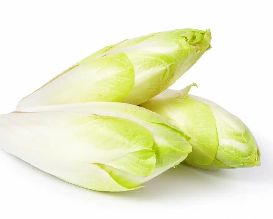 Three stalks of endive sit on a white counter, one is propped up higher than the other two.