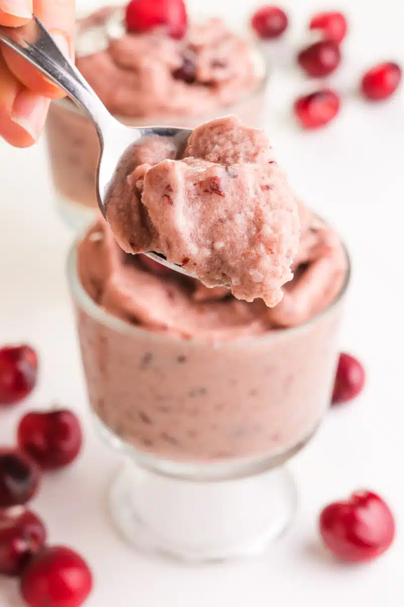 A spoonful of chocolate cherry nice cream hovers over a bowl with more of it. There are fresh cherries in the background.