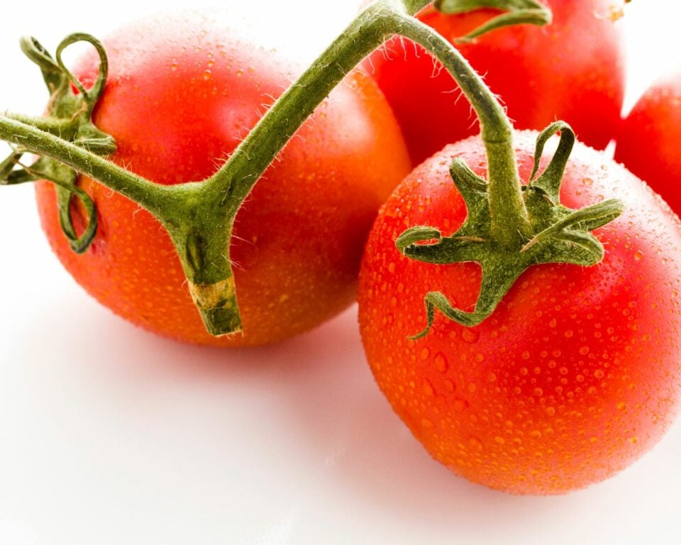 A closeup of Roma tomatoes on the vine, sitting on a white counter.