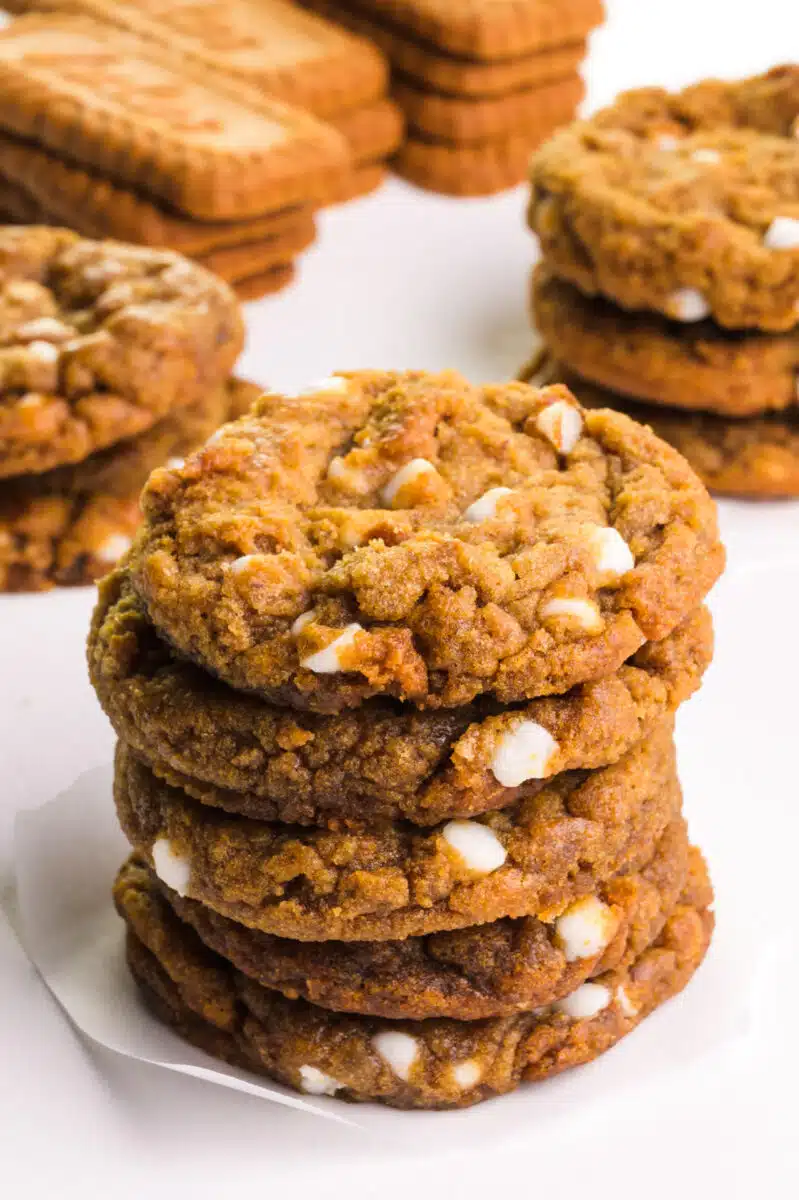 A stack of cookies sits in front of more cookies and biscoff cookies in the background.