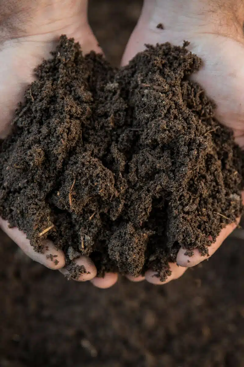Two hands hold fresh composting dirt, hovering over more dirt in the background.