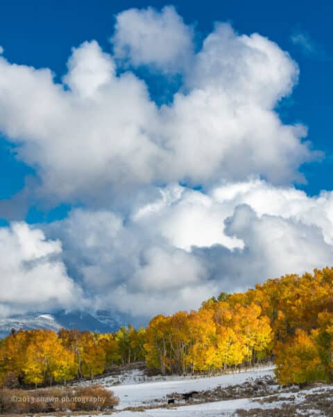 White puffy clouds in a blue sky are over golden trees and a snowy mountain landscape.