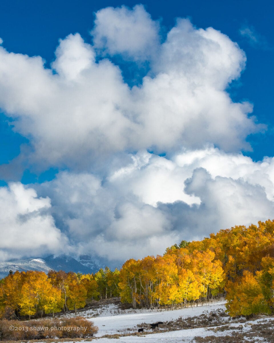 White puffy clouds in a blue sky are over golden trees and a snowy mountain landscape.