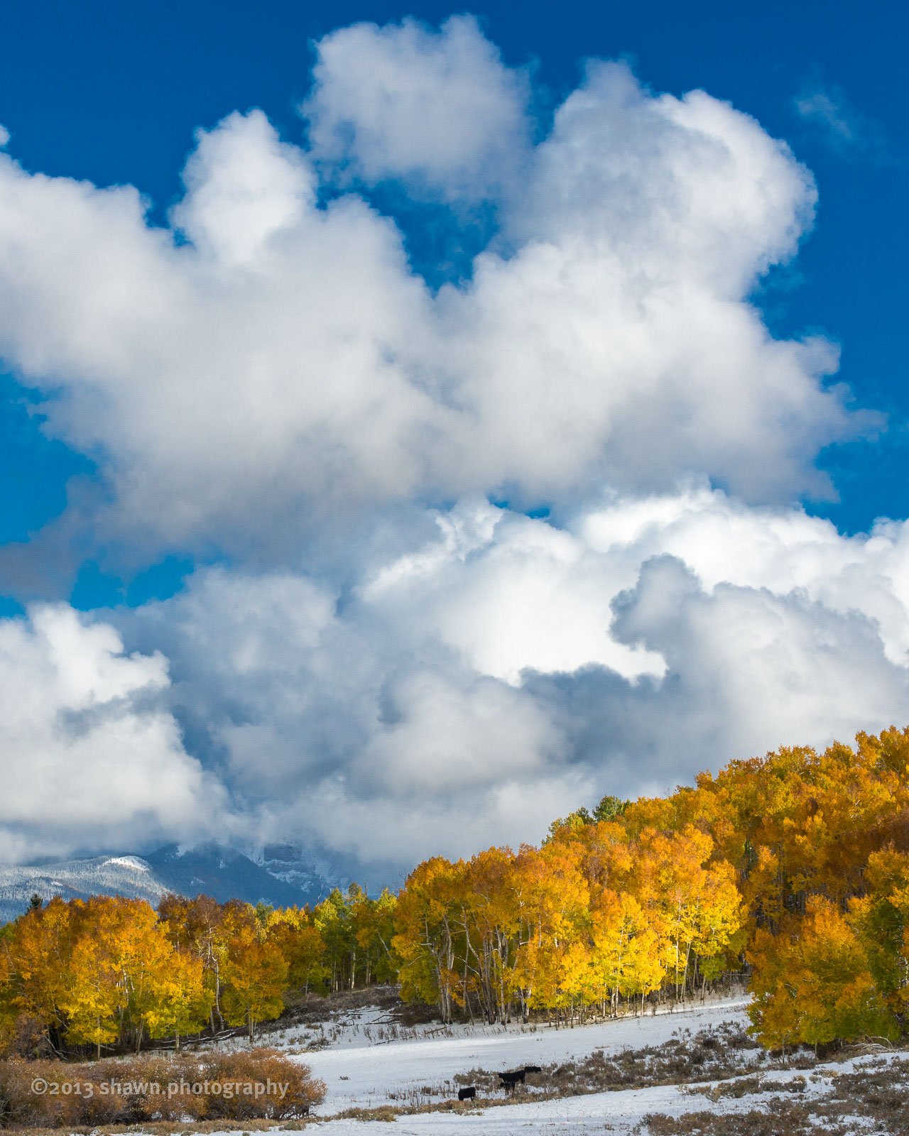 White puffy clouds in a blue sky are over golden trees and a snowy mountain landscape.
