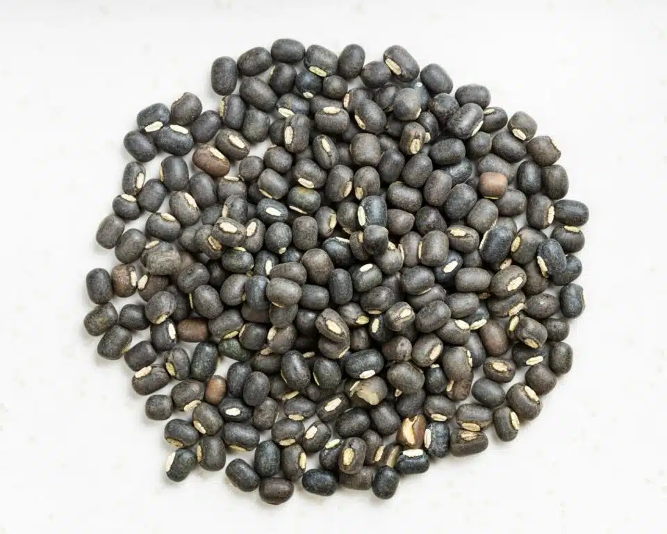 Looking down on black legumes on a white background.