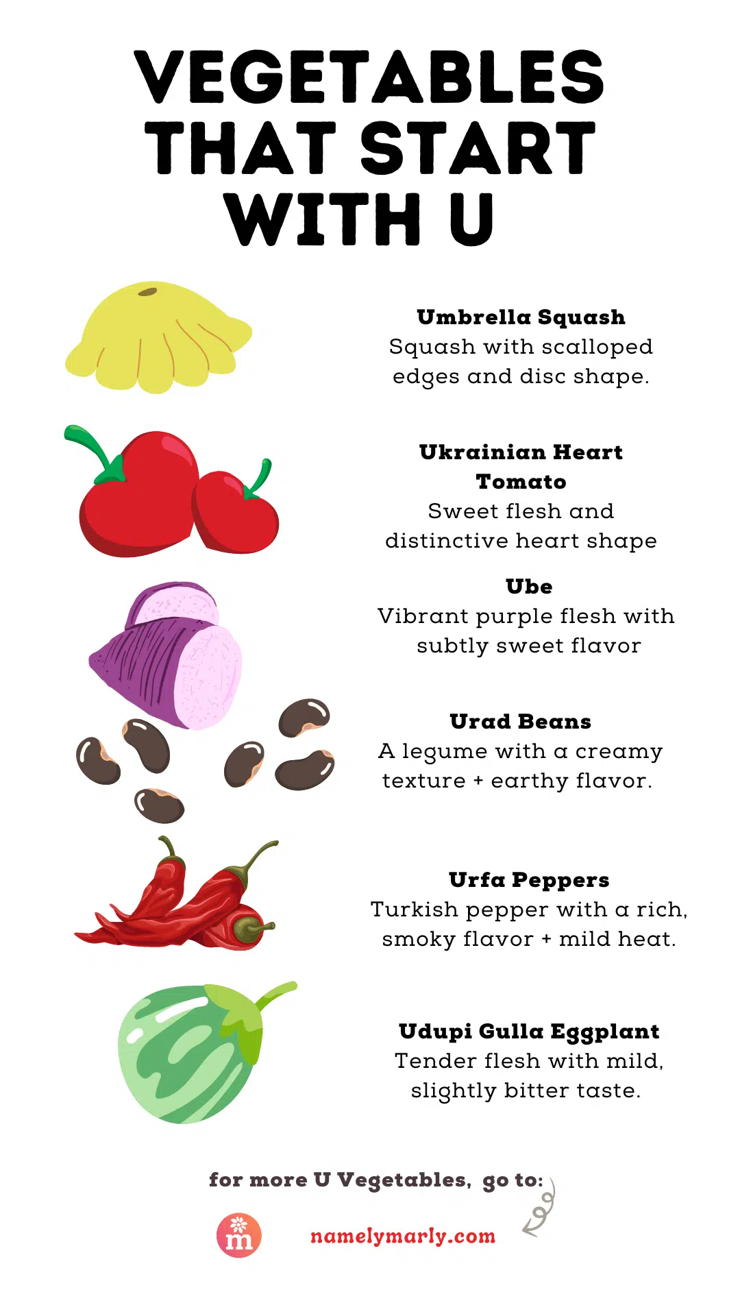 Discover a Variety of U Vegetables: Illustrated graphic showcasing vegetables that start with the letter 'U.' Includes Umbrella Squash, characterized by scalloped edges and a disk shape; Ukrainian Heart Tomatoes, known for their sweet flesh and distinctive heart shape; Ube, boasting vibrant purple flesh with a subtly sweet flavor; Urad Beans, legumes with a creamy texture and earthy flavor; Urfa Peppers, Turkish peppers with a rich, smoky flavor and mild heat; and Udupi Gulla Eggplant, featuring tender flesh with a mild, slightly bitter taste. For more U Vegetables, visit: namelymarly.com