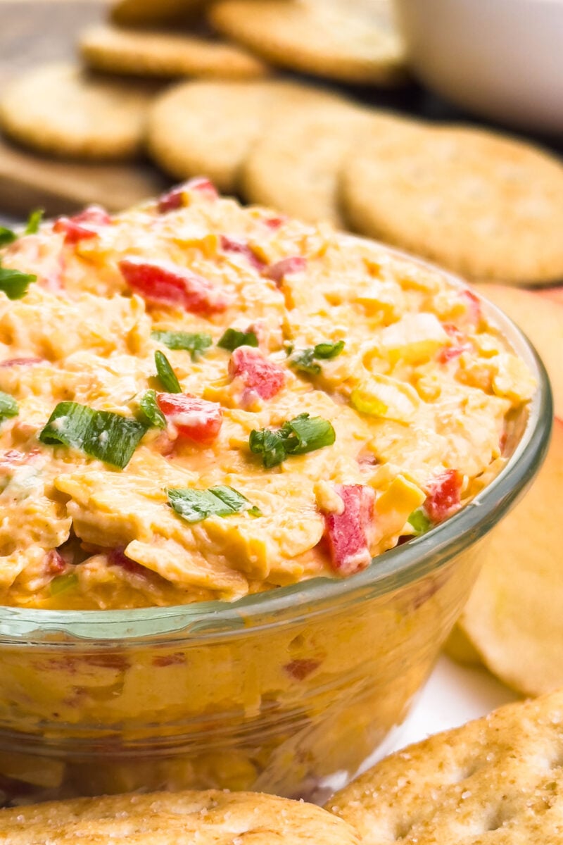 A bow of cheese dip sits with crackers around it.